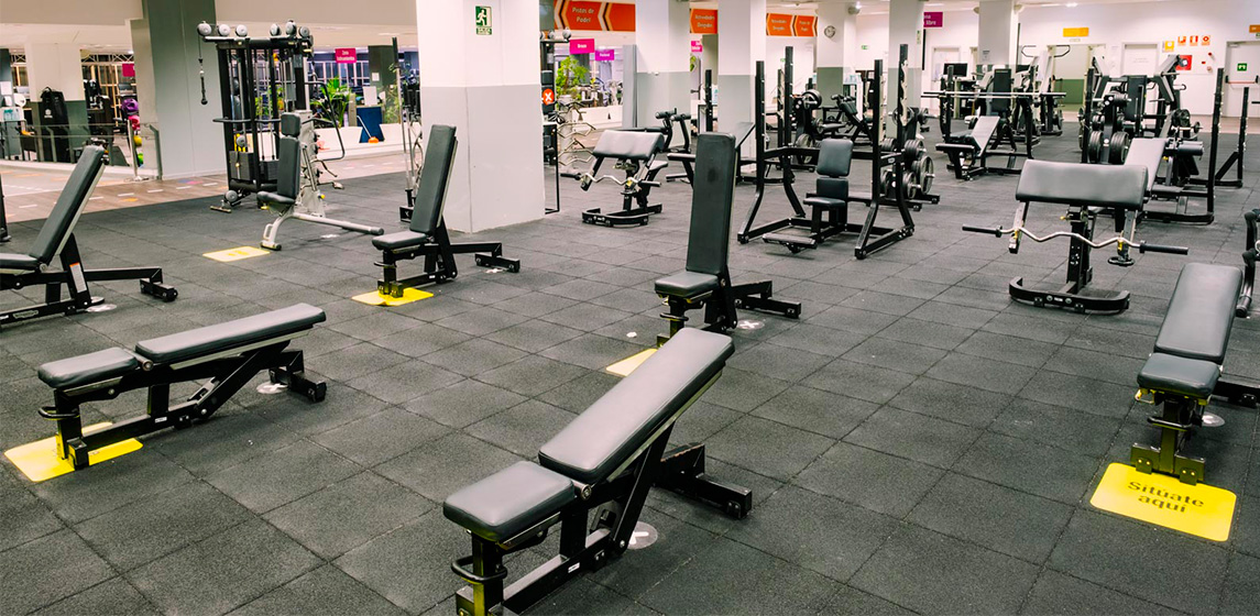 fitness